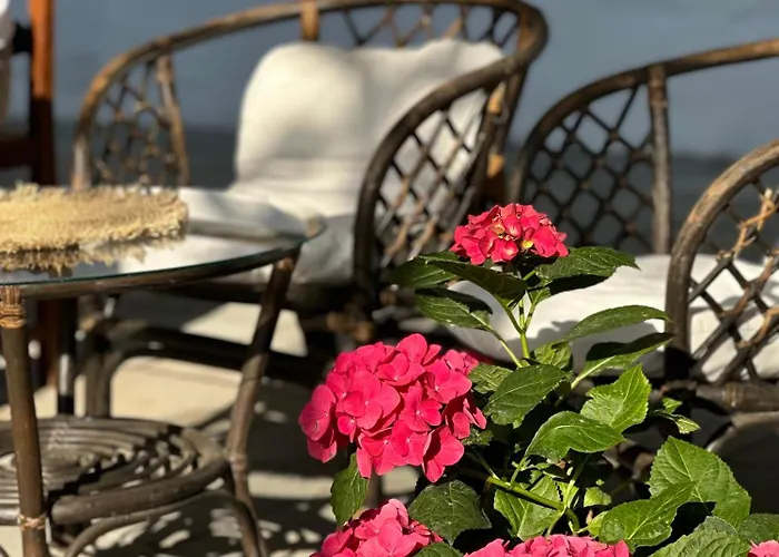 Irb Emona 4 ゲストハウス 4*